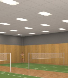 Mana Badminton Court