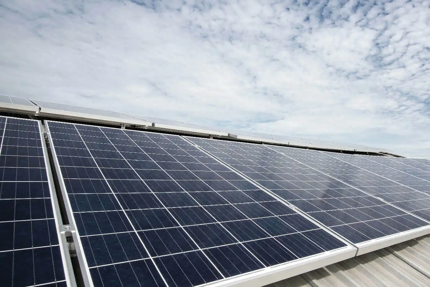 Vertical garden wall promoting clean air and aesthetics within the gated community